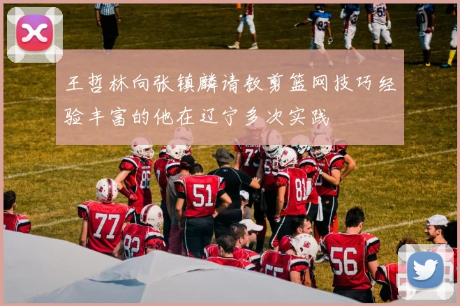 王哲林向张镇麟请教剪篮网技巧经验丰富的他在辽宁多次实践