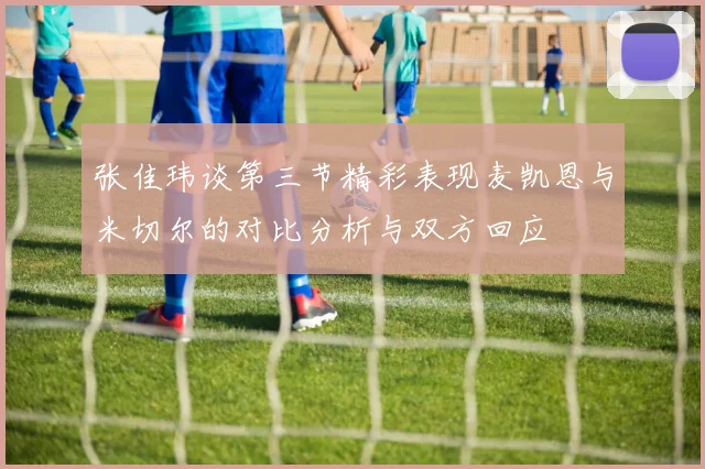 张佳玮谈第三节精彩表现麦凯恩与米切尔的对比分析与双方回应